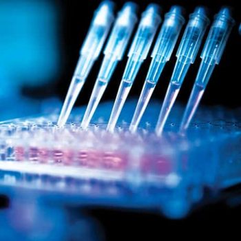 Review of Enablement Standard Post-Amgen and Implications for Patent Claim Strategies and Litigation CLE